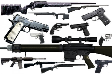 firearms1-450x300